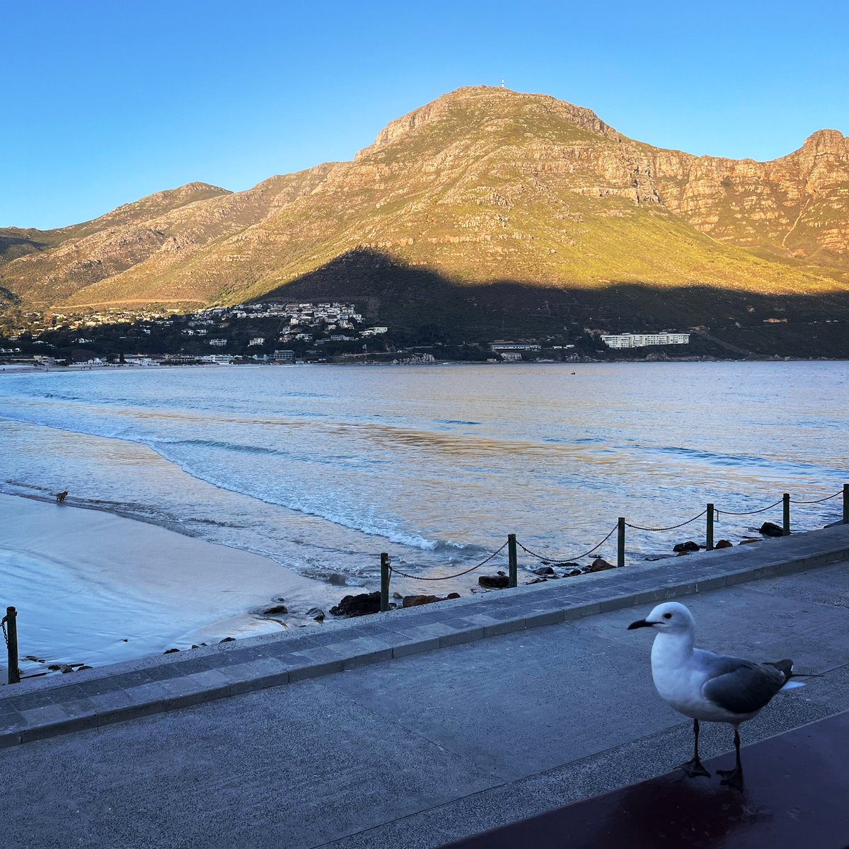 Hout Bay, Cape Town