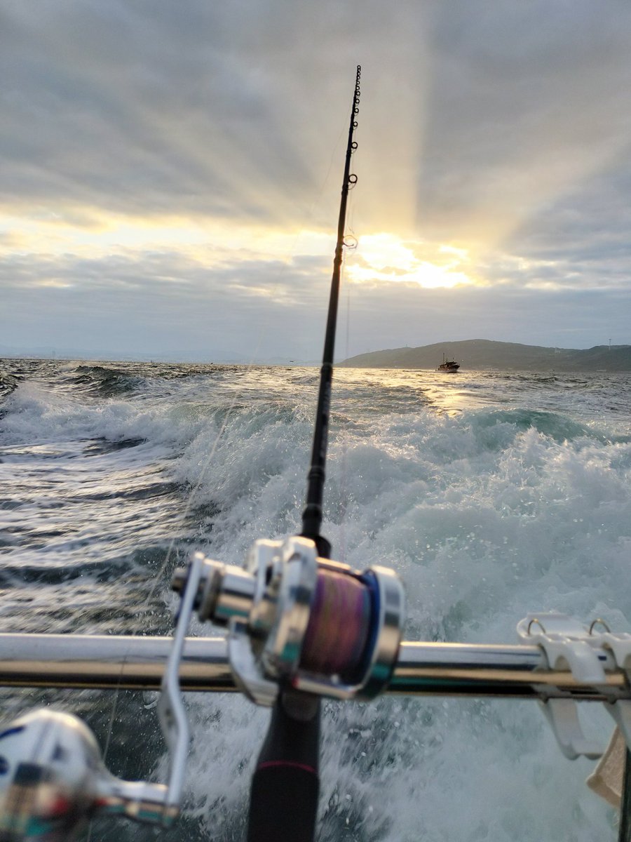 明石で今年初のタコ釣り🐙

がんばろ🐢🐢