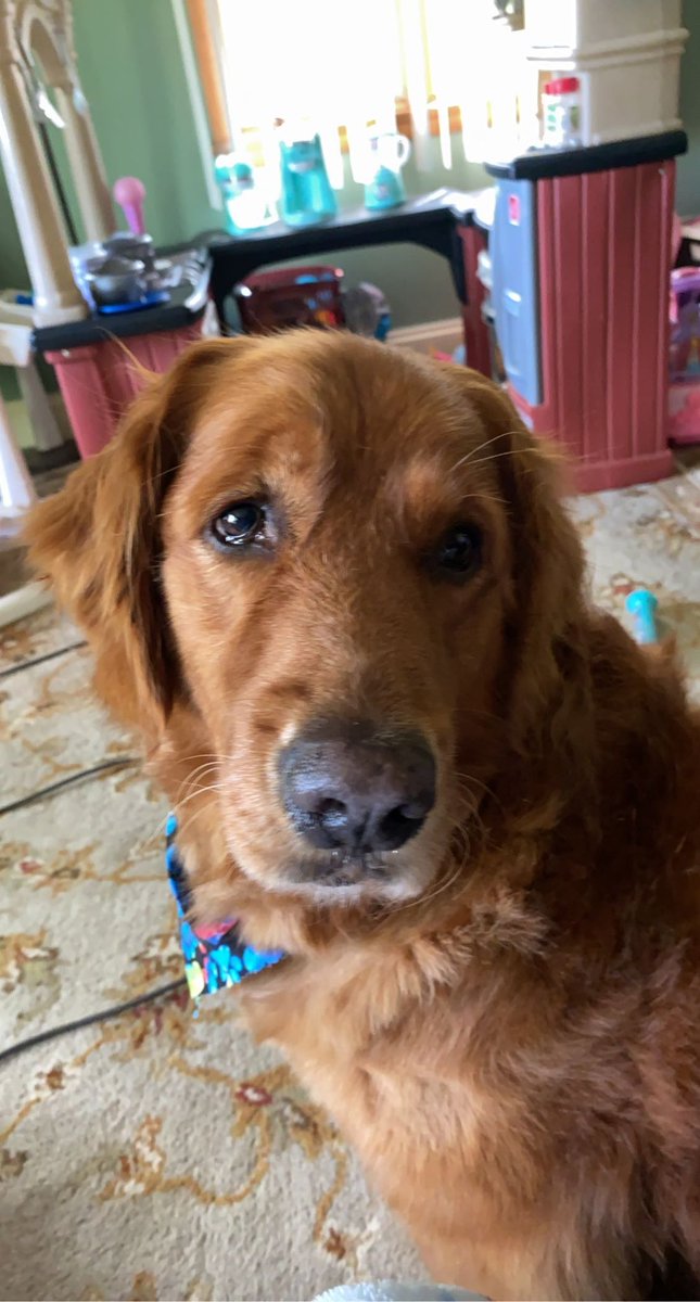 T_Hardoby's tweet image. Man…. I miss Athena…