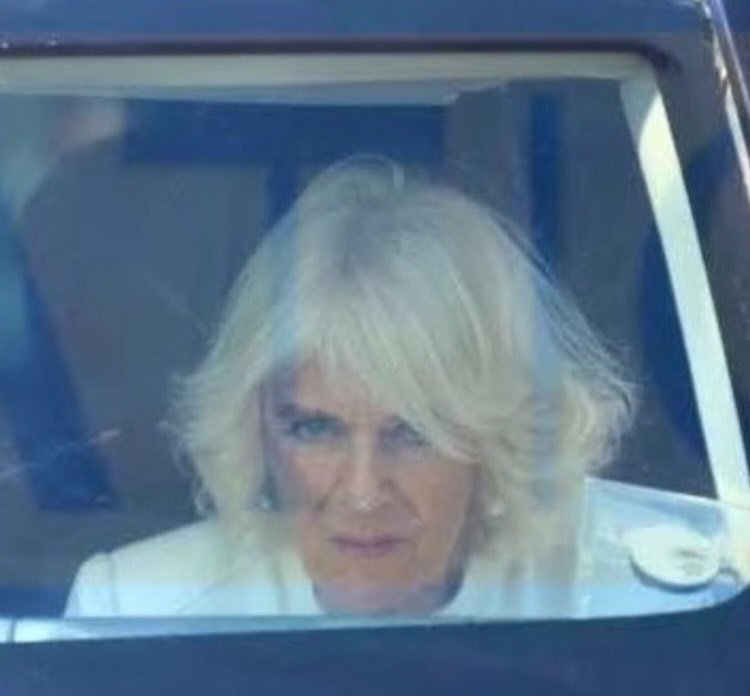 Live glimpse of King Charles' Whorse, Camilla, after her Backyard Barbq, when she finally watches the news tonight. The neighing will keep Charles awake all night. 🤣