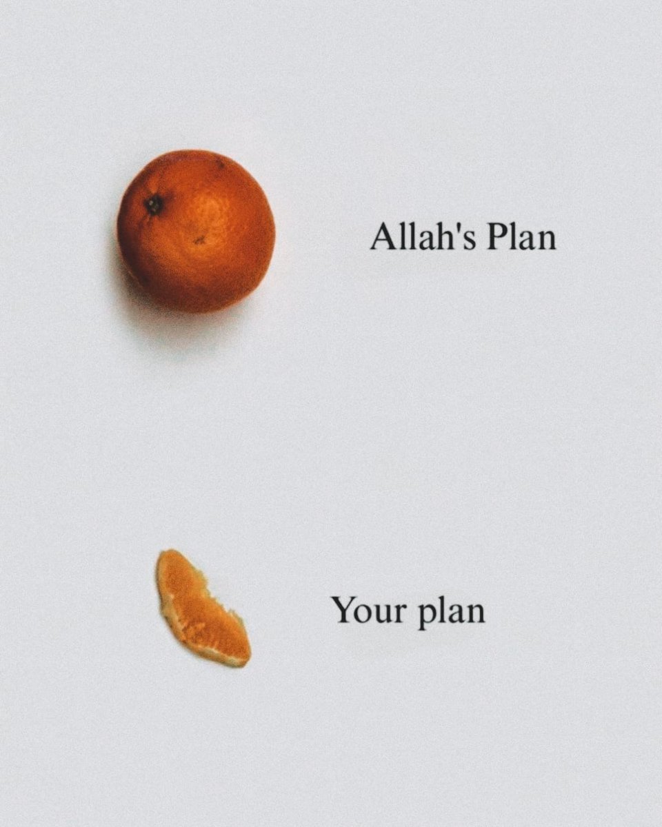 ALLAH is the best Planner.