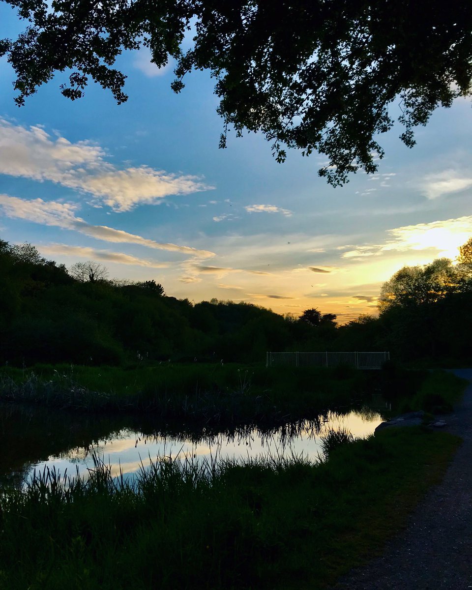 Evening stroll 🚶‍♀️ #stroll #sunset #sky #clouds #sun #bluesky #reflection #reflections #may #evening #tree #trees #walk #glenriverpark #theglen #cork #ireland #iphoneonly #filter @corkbeo @pure_cork @yaycork @CorkDaily @CravingCork @LovingCork