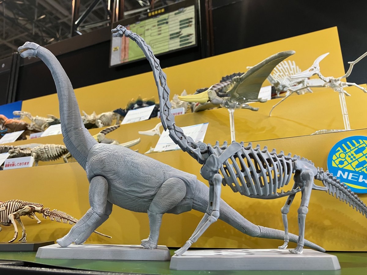 【#静岡ホビーショー ブース紹介！】 「#プラノサウルス」ブースにはプラノサウルス ブラキオサウルスを参考展示中！ #ブラキオサウルス が持つ特徴的な長い首と尻尾を、学説に基づき新規造形で立体化！首を下げるポーズもしっかりとれる！ bandai-hobby.net/site/shs24/ #プラモデル