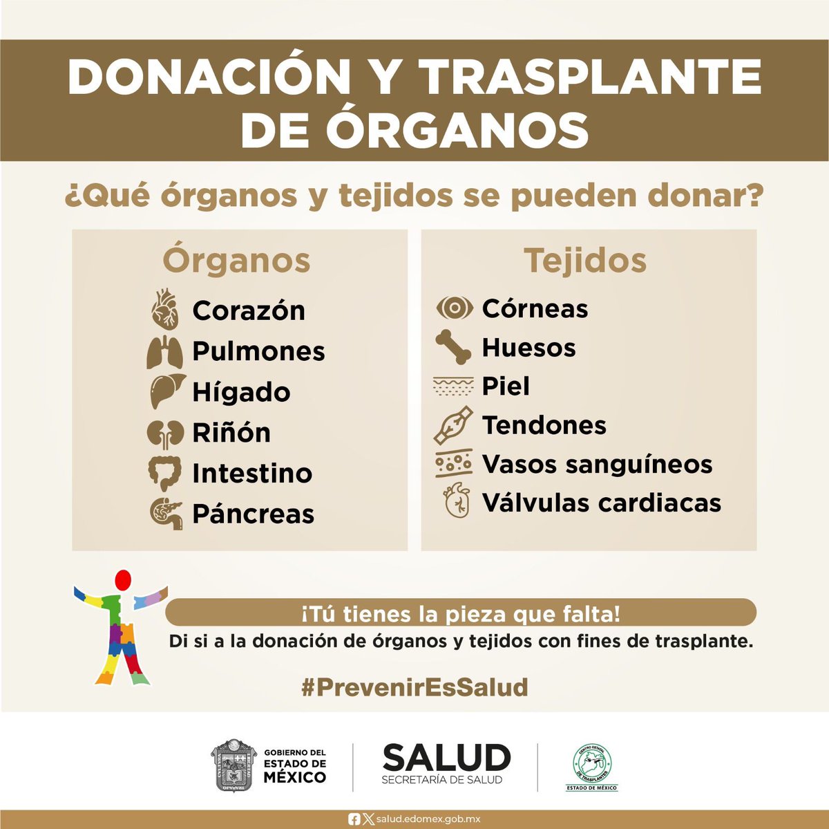 Te recordamos que, la donación altruista de órganos puede salvar hasta 7 vidas.
Conoce los requisitos para convertirte en una donadora o donador altruista, ingresa en: cetraem.edomex.gob.mx
¡Tú puedes ser un donador altruista!
#DonarÓrganosEsDonarVida
@SaludEdomex