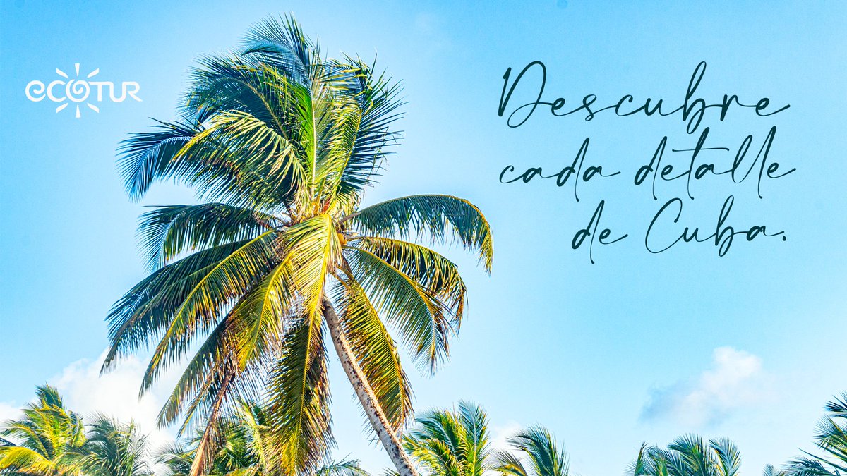 Queremos que no te pierdas nada de #CubaUnica, que disfrutes cada detalle de nuestra hermisa #isla. @ecoturcuba #CreamosAventuras #turismodenatureza @GrupoViajesCuba