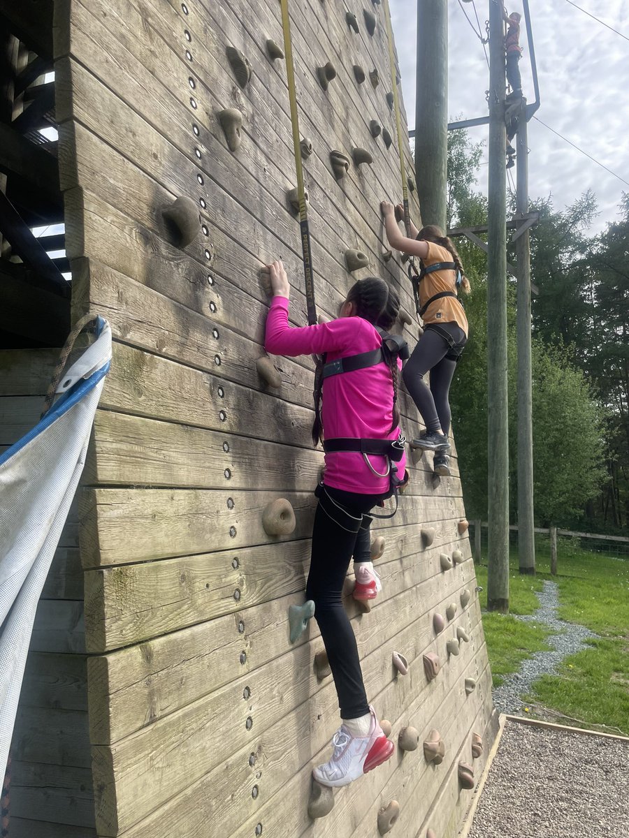 New Park Primary School tweet media