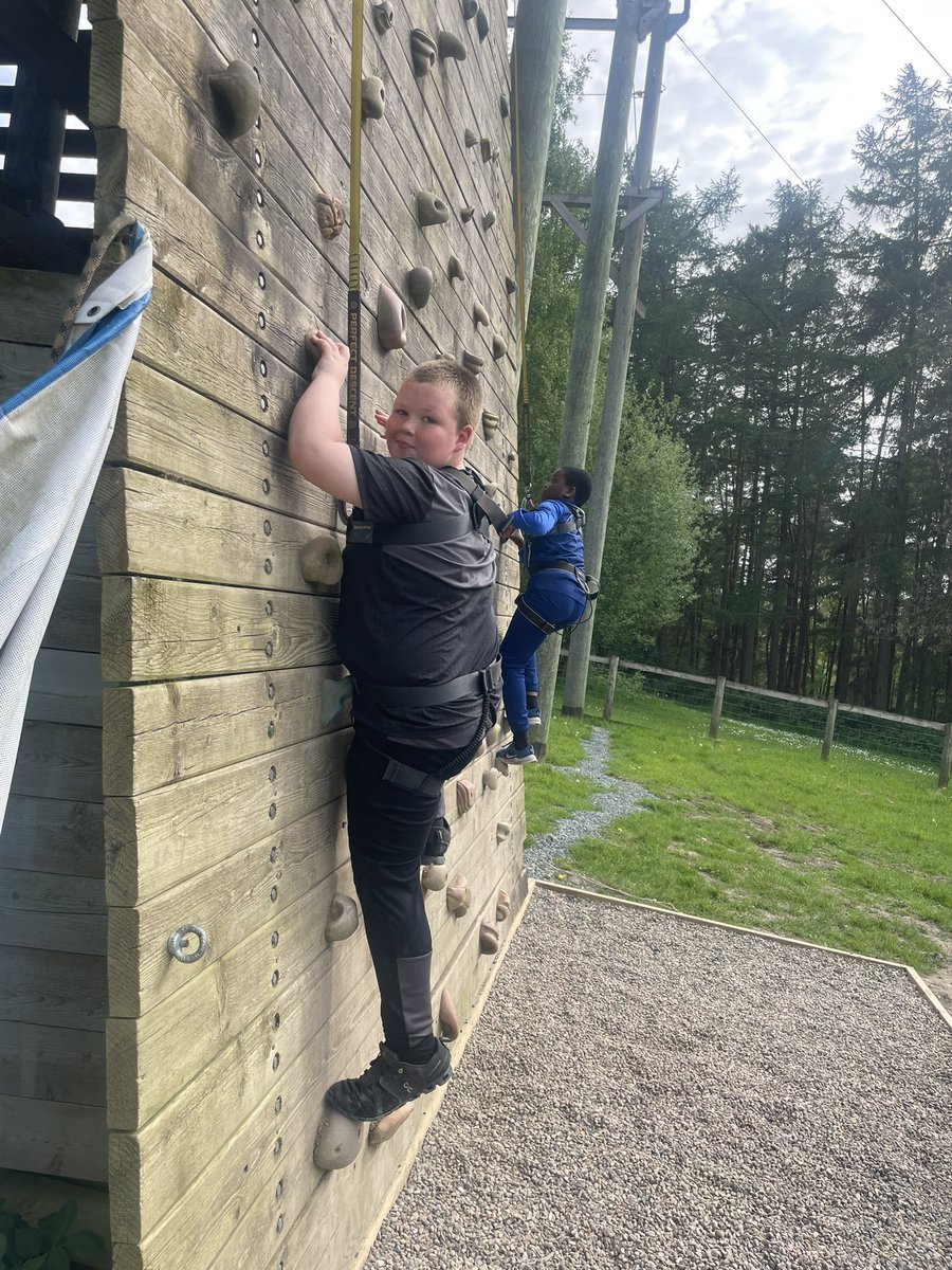 New Park Primary School tweet media