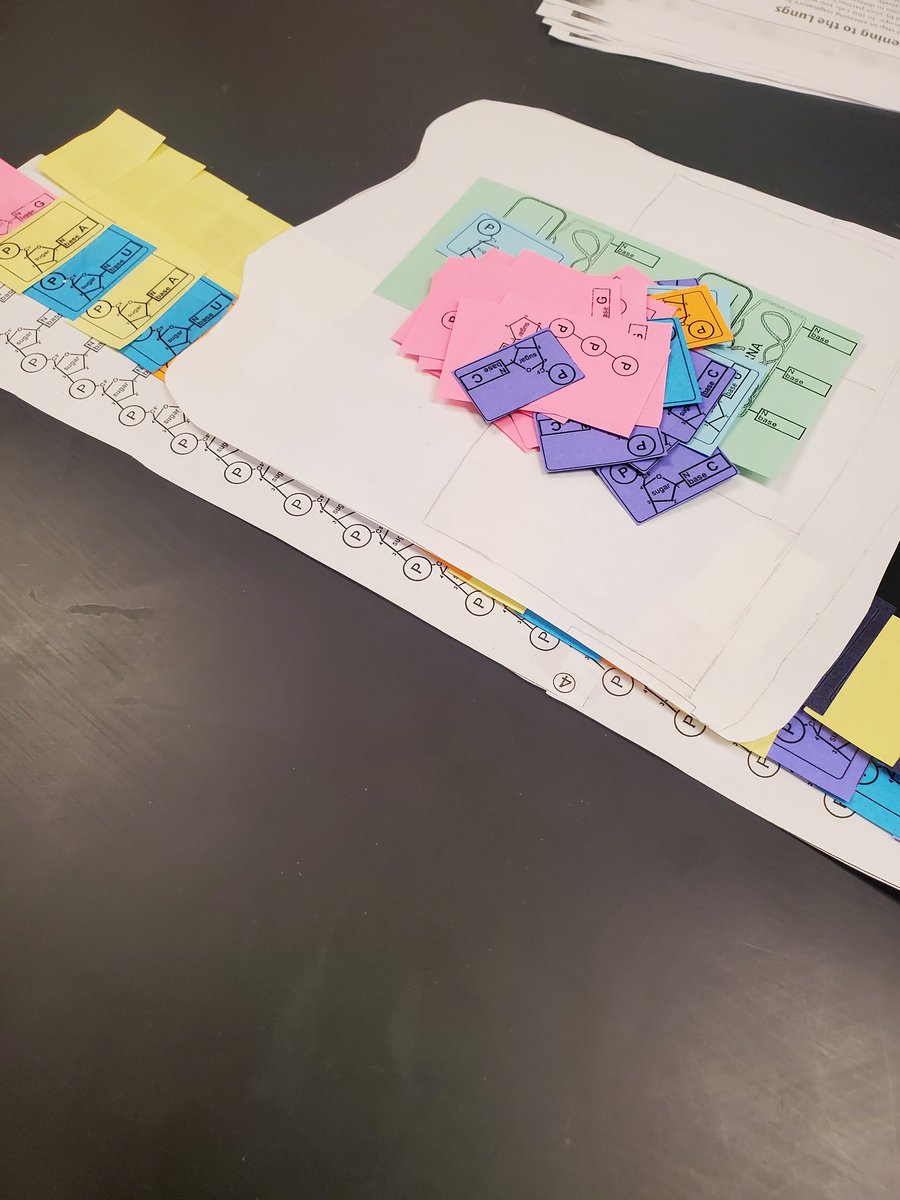 Jennifer Bancej (@mrsbancej) on Twitter photo Simulating gene expression in grade 12 bio! The students will get to complete verbal evaluations of this content using their models instead of written if they choose. <a href="/MrsBancej/">Jennifer Bancej</a> <a href="/OTHSPANTHERS/">OTHS</a> <a href="/OCDSB/">OCDSB</a> <a href="/PeterGamwell/">Peter Gamwell</a> Simulating gene expression in grade 12 bio! The students will get to complete verbal evaluations of this content using their models instead of written if they choose. <a href="/MrsBancej/">Jennifer Bancej</a> <a href="/OTHSPANTHERS/">OTHS</a> <a href="/OCDSB/">OCDSB</a> <a href="/PeterGamwell/">Peter Gamwell</a>