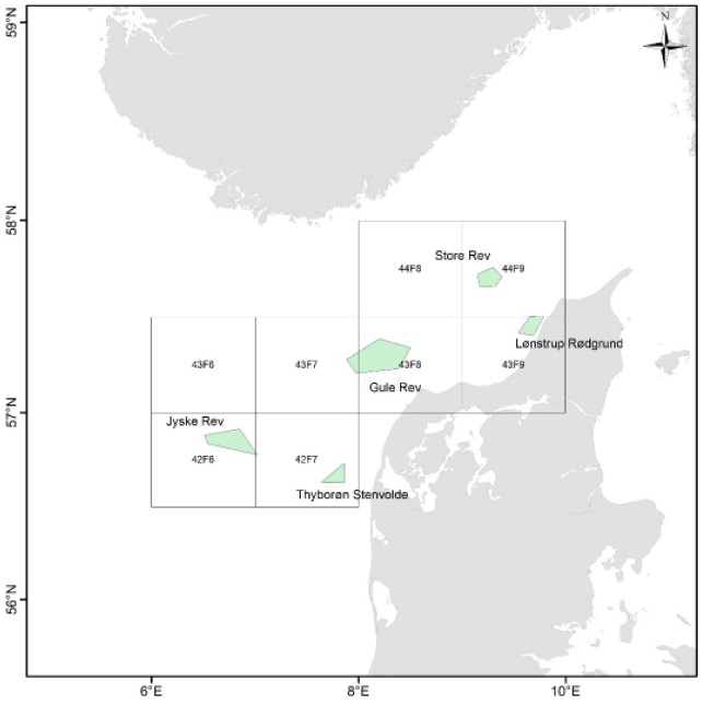 Glad to see this move to ban trawling on five vulnerable reef areas in Denmark.

Dragging heavy chain nets along the seabed to scoop up target species also tears up the root systems of plants and the burrows of bottom-dwelling animals.

cphpost.dk/2024-05-06/new…

@cphpost
#dkgreen