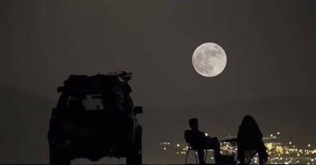 حب | Love tweet media