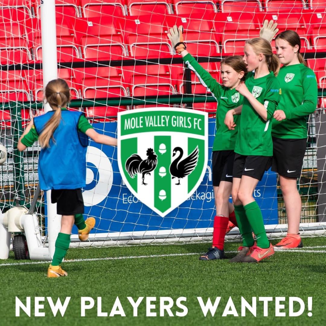 Looking for an affordable, all-girls, all-ability, all-welcoming, grassroots club?

Now holding open sessions EVERY FRIDAY from now through to Jun 21st @ Meadowbank Stadium Dorking. ALL AGES welcome 

contact@mvgfc.co.uk 💚

#leatherhead #dorking #grassroots #grassrootsfootball