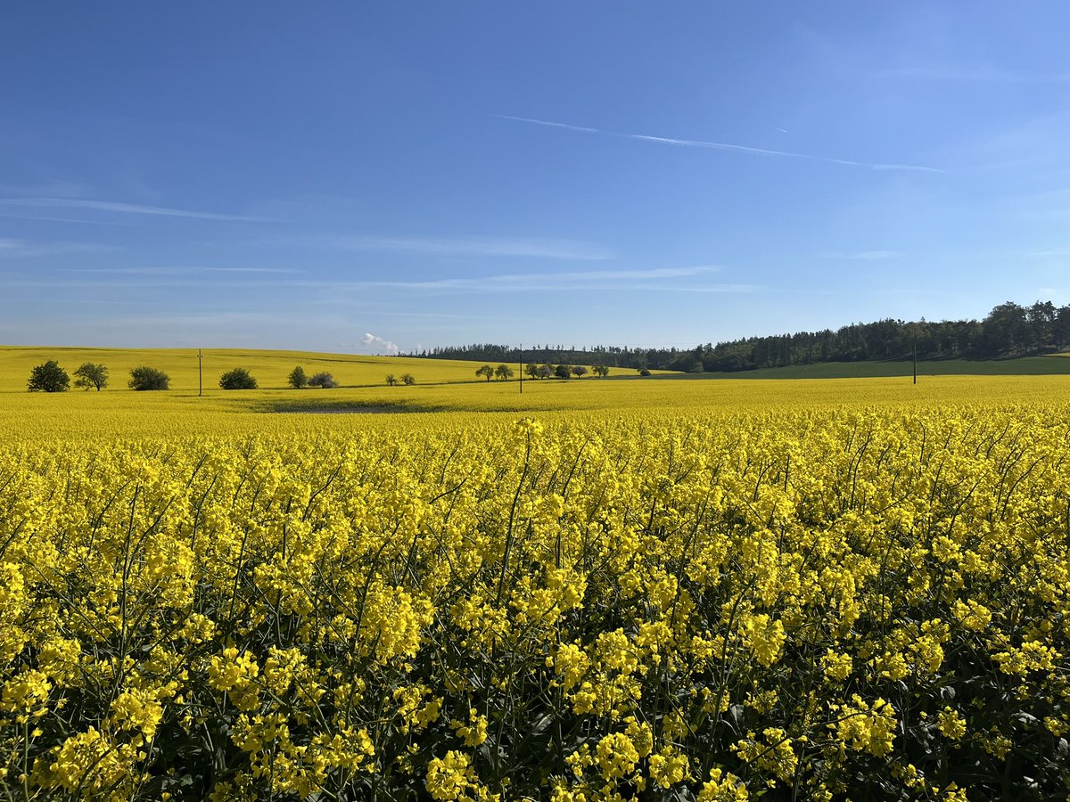 ArminWolf's tweet photo. Ich mach jetzt mal Pause. 
Melde mich am 2. Juni zurück und bin neugierig, was der ö. Innenpolitik derweil so alles einfällt… https://t.co/nOrLHDBgTk