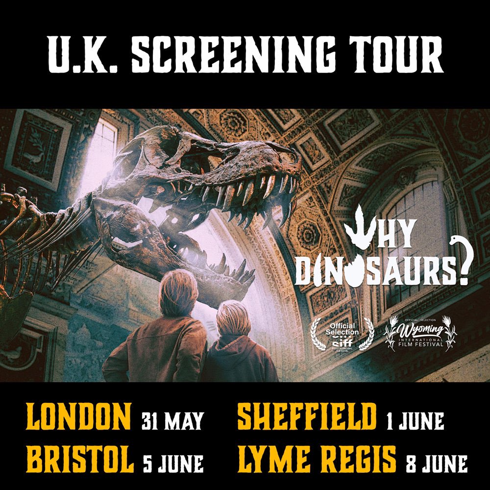 WHY DINOSAURS? tweet media