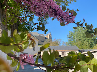 🌺 La primavera aterriza en la #RealCasaDeMonedaDeSegovia con todo su esplendor. Un lugar de gran belleza, donde se unen historia y tecnología, enclavado en el fabuloso valle del río Eresma.  ℹ bit.ly/3t87c4c #PrimaveraEnSegovia #RedescubreSegovia