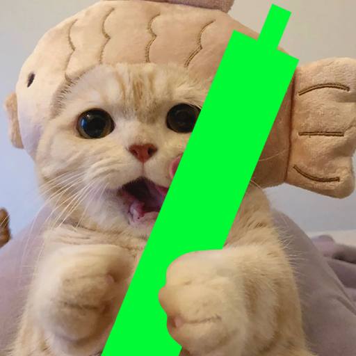 JiaSolana's tweet photo. @mrpunkdoteth STUDY $JIA 😽

STUDY WEB2 EYES. 
Weibo: https://t.co/1k8Yg4zXLj
Instagram fan account: https://t.co/rfMJPgxVFj https://t.co/ZYP8vFdzKe