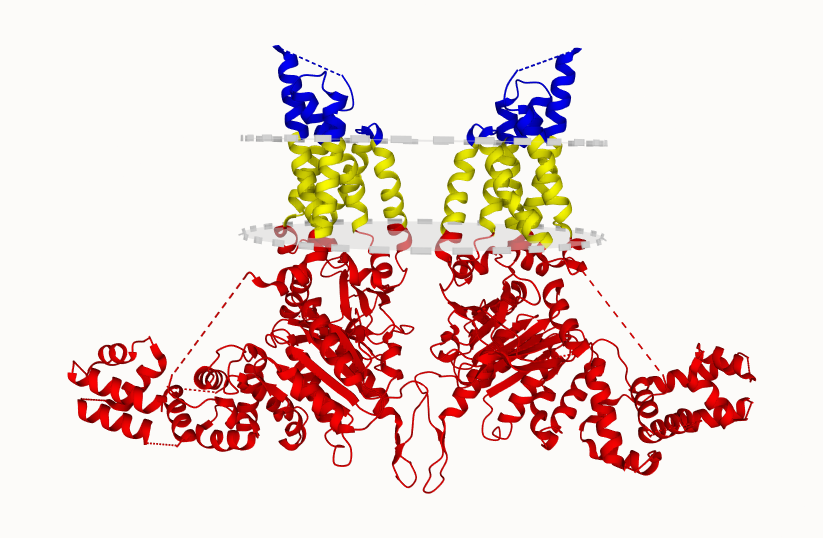 Structural Basis of Human NOX5 Activation. Biophys J. Check the #cryoEM #structure of this #membrane #protein in the UniTmp database.

pdbtm.unitmp.org/entry/8u85