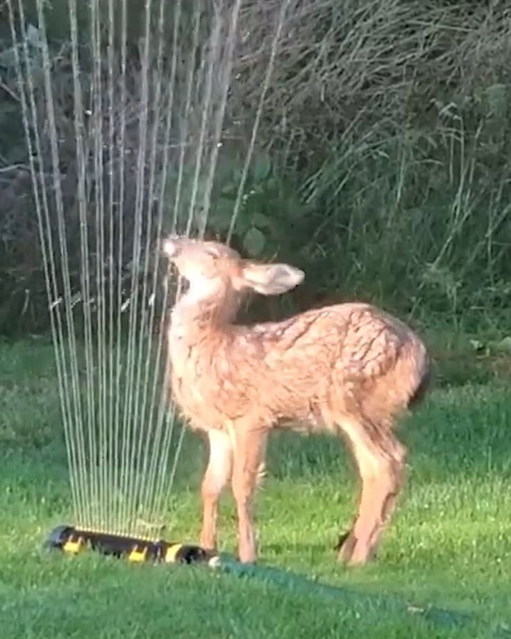 how   does   this   wor-  AAAAAAA