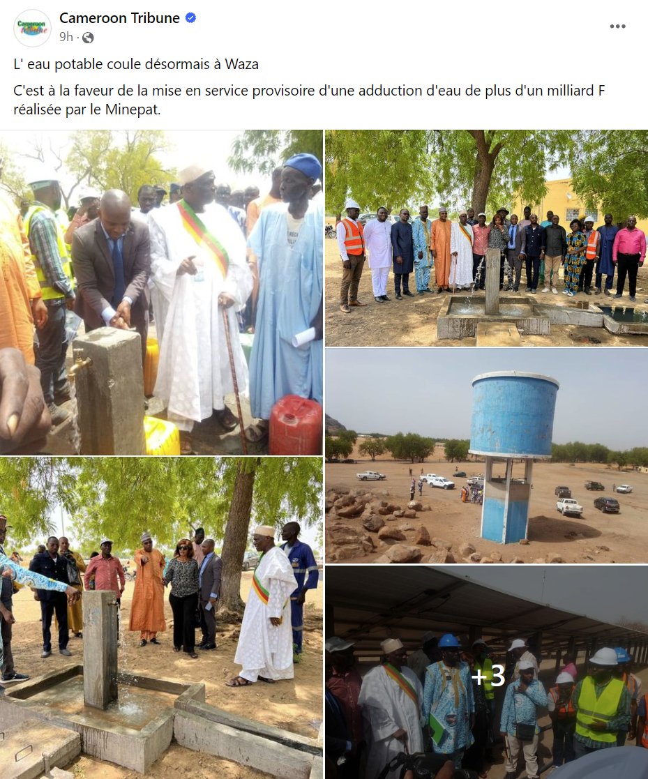 Proud ceremony in 🇨🇲 around the well that cost over 1 BILLION CFA ($1.6 million). Yes, a well. These people really have zero shame. I am wondering how much each of the water supply points built by @MrBeast costs. H/T @tassingremi