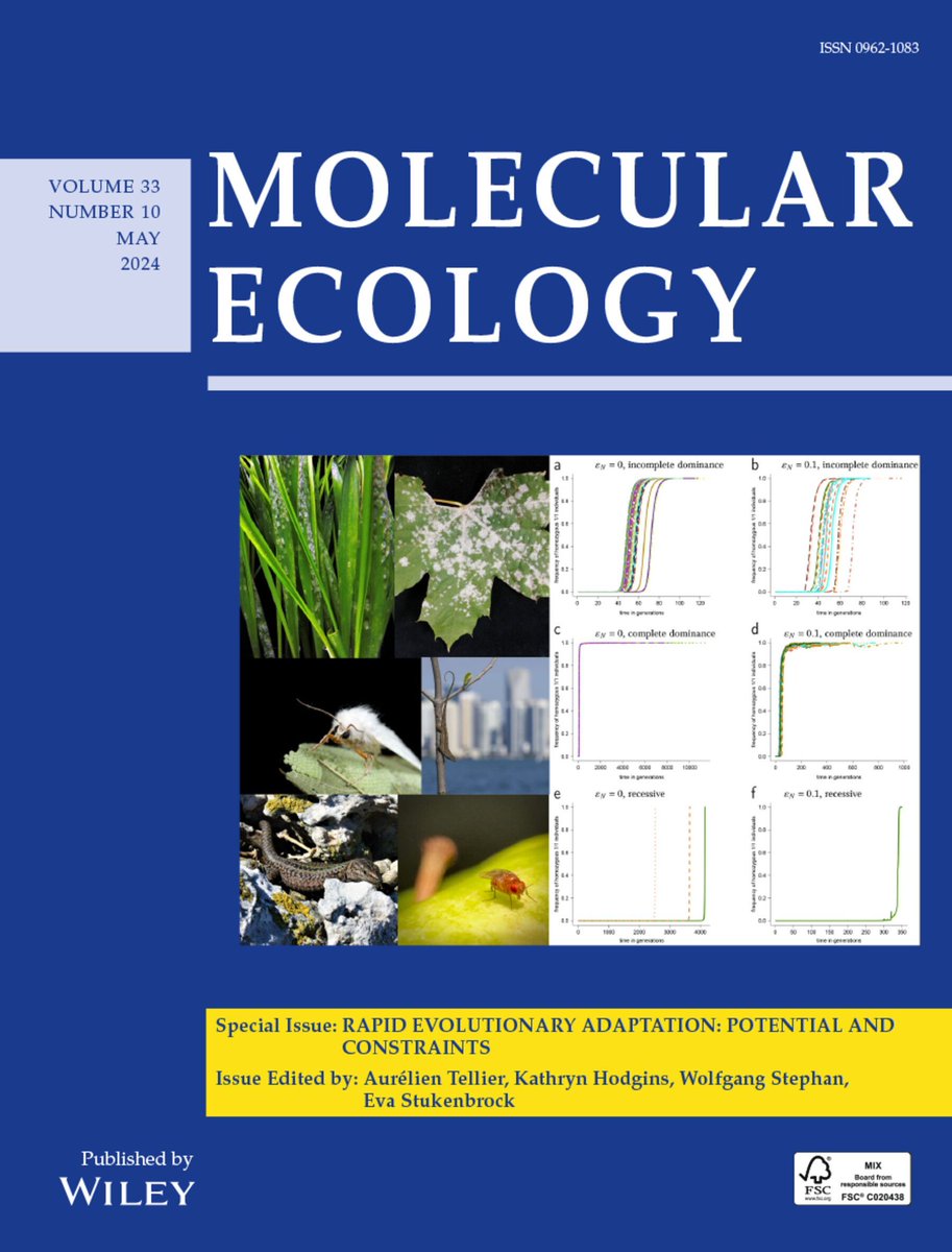 Our latest special issue on rapid adaptation is now published! Check out the editorial by Tellier, Hodgins, Stephan, & Stukenbrock, 𝑹𝒂𝒑𝒊𝒅 𝒆𝒗𝒐𝒍𝒖𝒕𝒊𝒐𝒏𝒂𝒓𝒚 𝒂𝒅𝒂𝒑𝒕𝒂𝒕𝒊𝒐𝒏: 𝑷𝒐𝒕𝒆𝒏𝒕𝒊𝒂𝒍 𝒂𝒏𝒅 𝒄𝒐𝒏𝒔𝒕𝒓𝒂𝒊𝒏𝒕𝒔 buff.ly/4bp3wMk @WileyEcolEvol