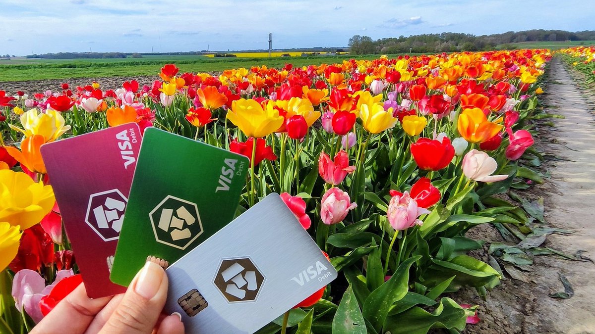 #Crypto spring blooms in all colours 📸 : CROShouf