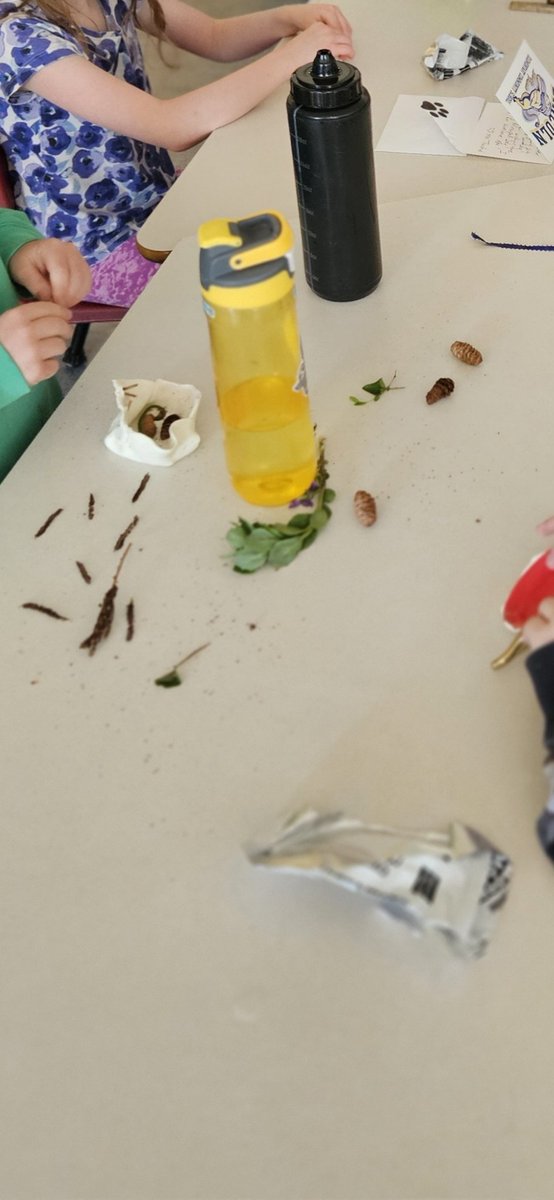 Exploring nature and art in the classroom! Today, my students took a nature walk, collecting treasures to press into clay. Each student was provided with the same amount of clay, but were provided minimal instruction to allow individual creativity.