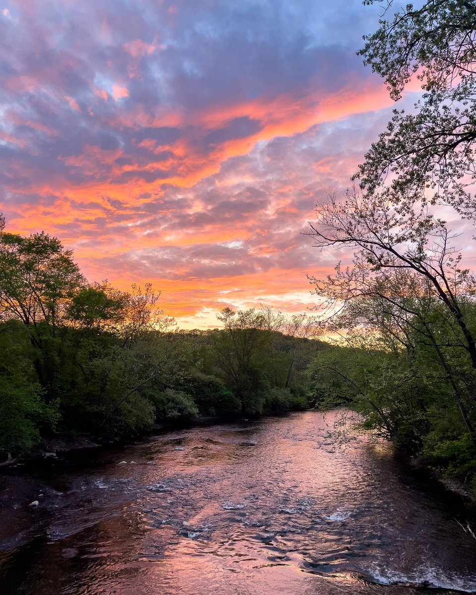 Summer sunset season incoming. Where's your favorite place to take in those vibrant colors in The Land? 📸: Dominic Lapeus | #TheLandforLife