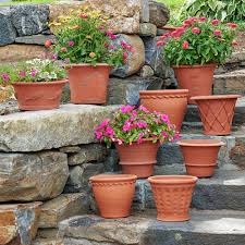 Choosing the Right Planting Pots: Learn how to select pots based on material, size, and drainage requirements to promote healthy plant growth.

#gardening #love #organicgardening #growyourown #plants #flower #landscape #growyourownfood #gardenlove #gardener #garden #gardenlife