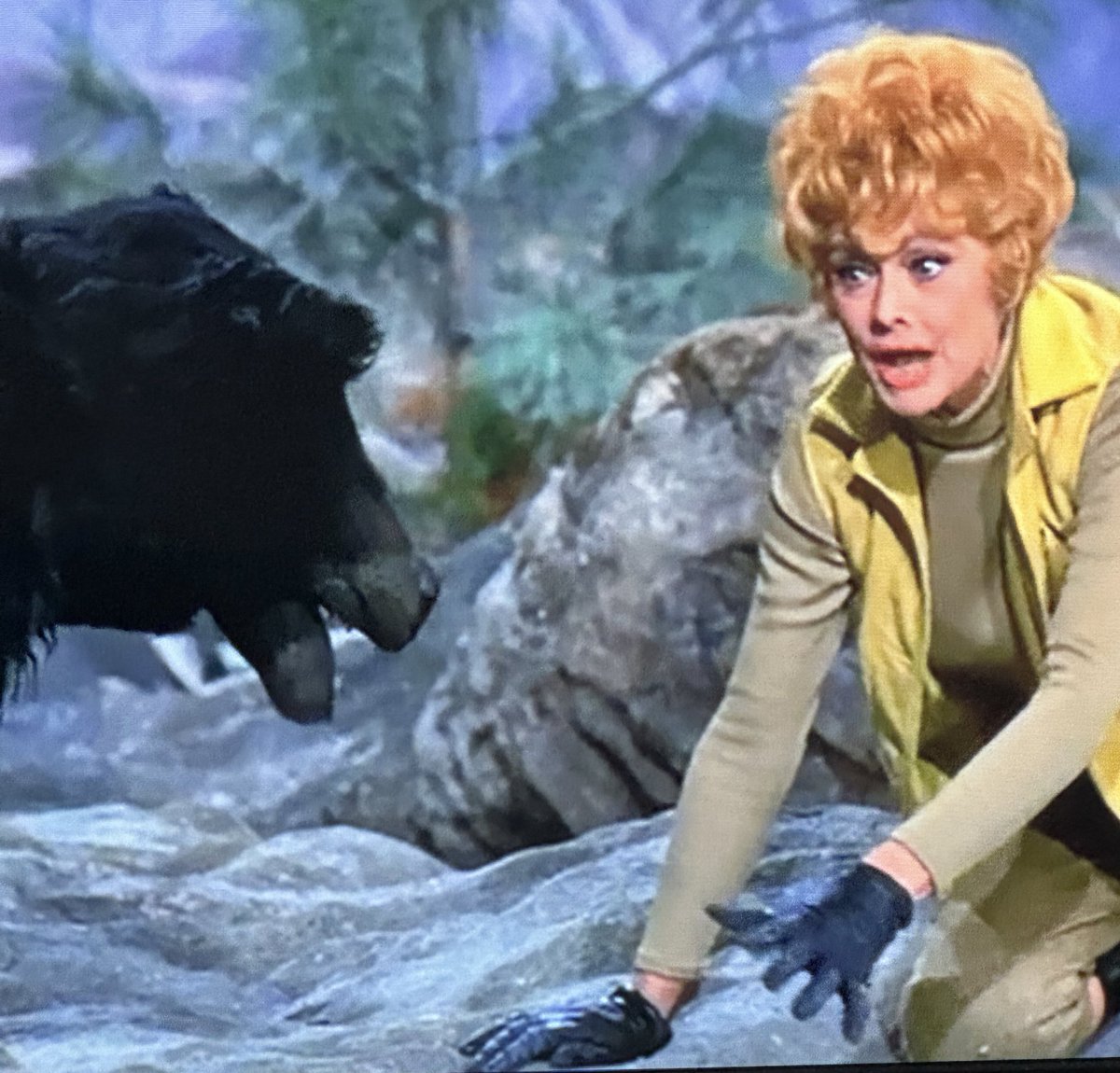 Lucy chose the bear, too.
#lucilleball #hereslucy