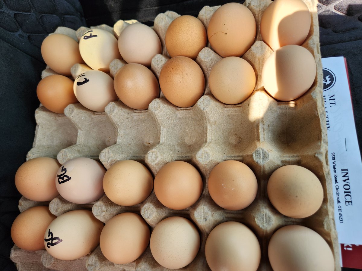 PREPRIDE's tweet image. Guess what our Kindergarten teachers are up to?