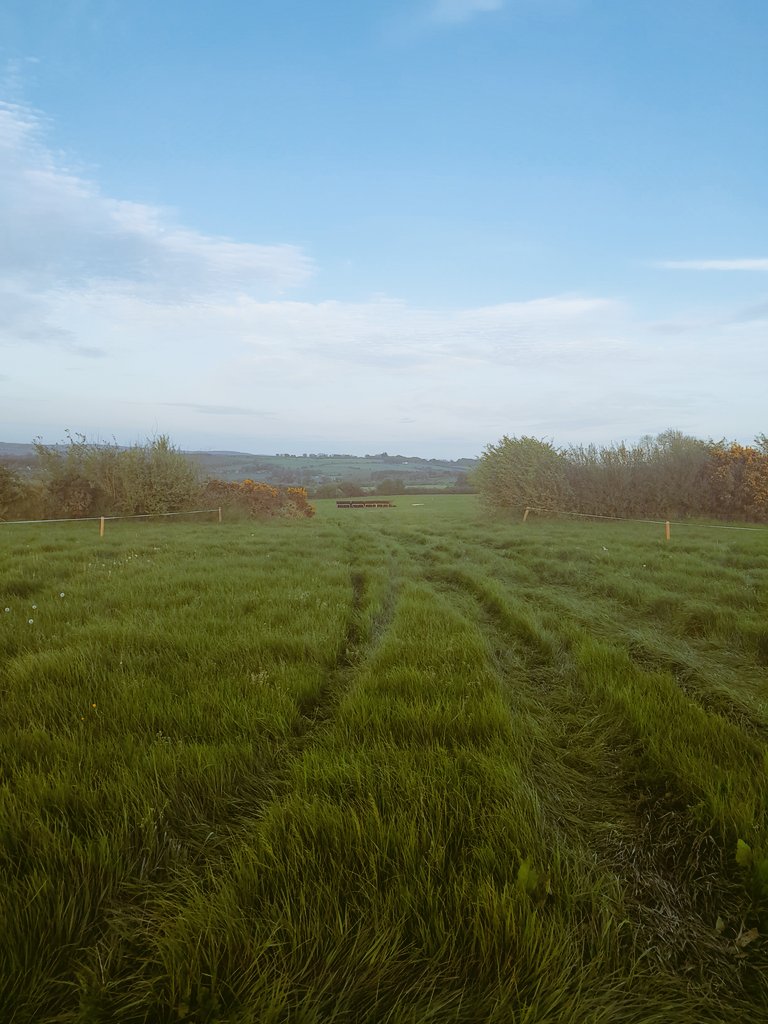 Many hands make light work!! Beautiful evening here in Bartlemy as work continues on track. Course will be spiked and aerated tomorrow ahead of our @irishp2p @corkwaterp2p meeting this coming Sunday