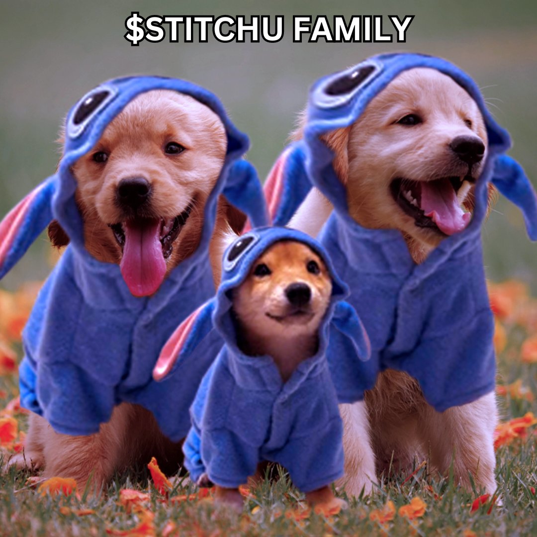 Join the $STITCHU family! Raydium is so close! pump.fun/97cPtMq63HZ7Av…