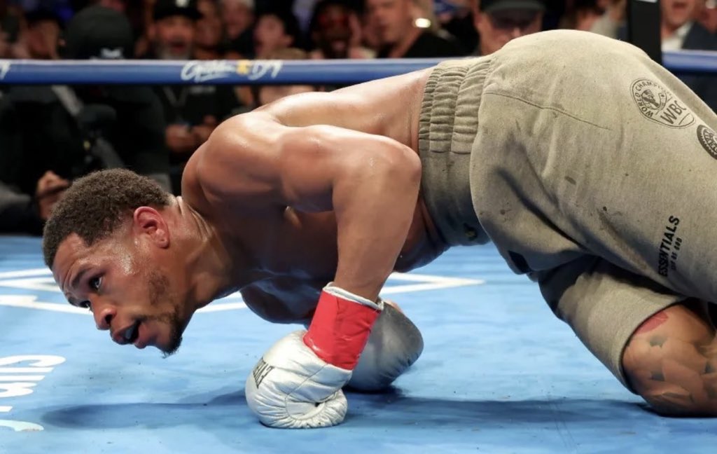 themichaelhoke's tweet photo. @Realdevinhaney “You couldn’t even ko me 🤓” https://t.co/QL2E6hE3Ck
