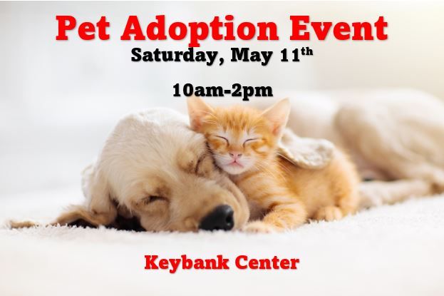 Are you interested in adding a pet to your family? Join the Buffalo Bills and the Buffalo Sabres at the Pet Adoption Event this Saturday, May 11th, from 10am to 2pm at the Keybank Center.  Please  help find these pets a forever home!   buff.ly/3UzMuEt #fureverhome #family