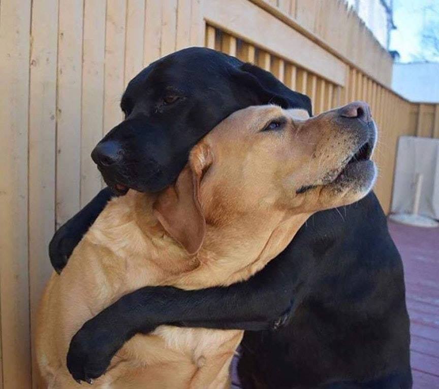 a loving hug.