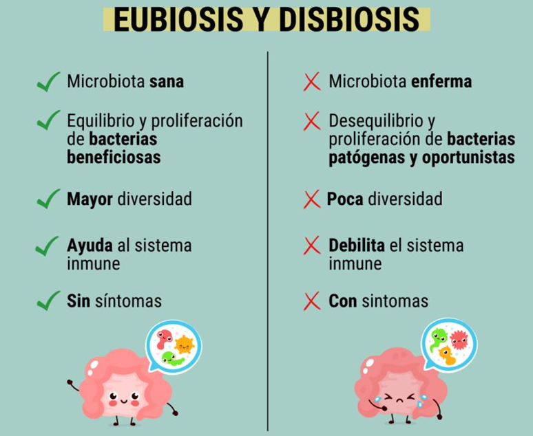 MicrobioMagico's tweet photo. Se ha descubierto que muchas enfermedades pueden estar relacionadas con la disbiosis de nuestro microbioma. Desde problemas metabólicos como la obesidad y la diabetes, hasta enfermedades autoinmunes, alergias, asma, y cáncer colorrectal, depresión, esclerosis múltiple, etc. https://t.co/xMMZHBnR5d