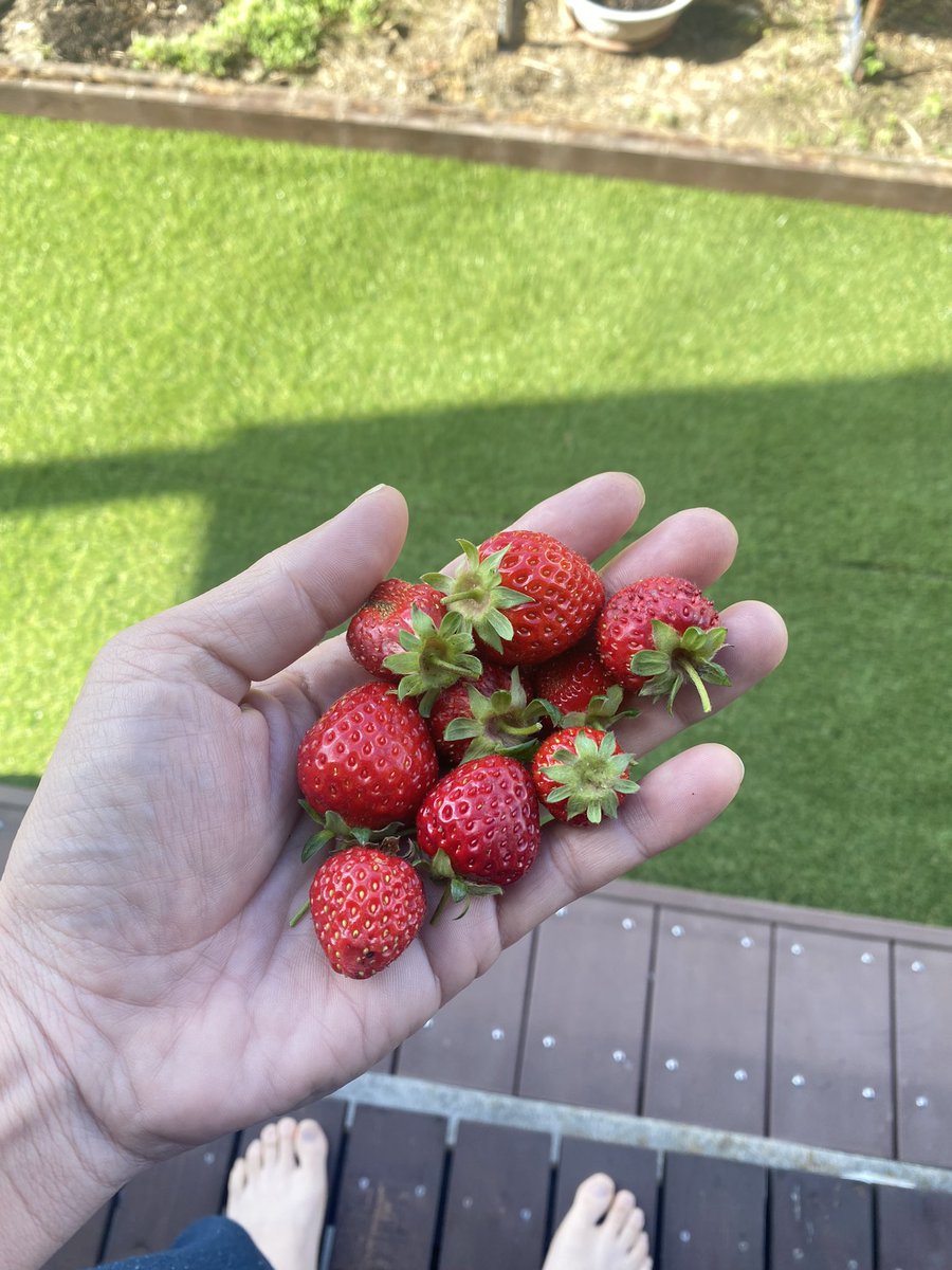 nisi009's tweet photo. 温泉とサウナといちごと私 https://t.co/2E5gyZ2KUP