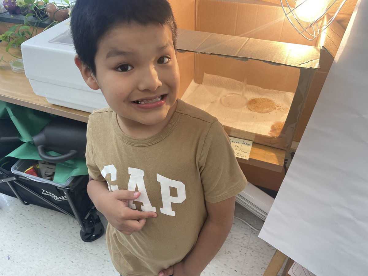 Ms Cleer’s Class tweet media