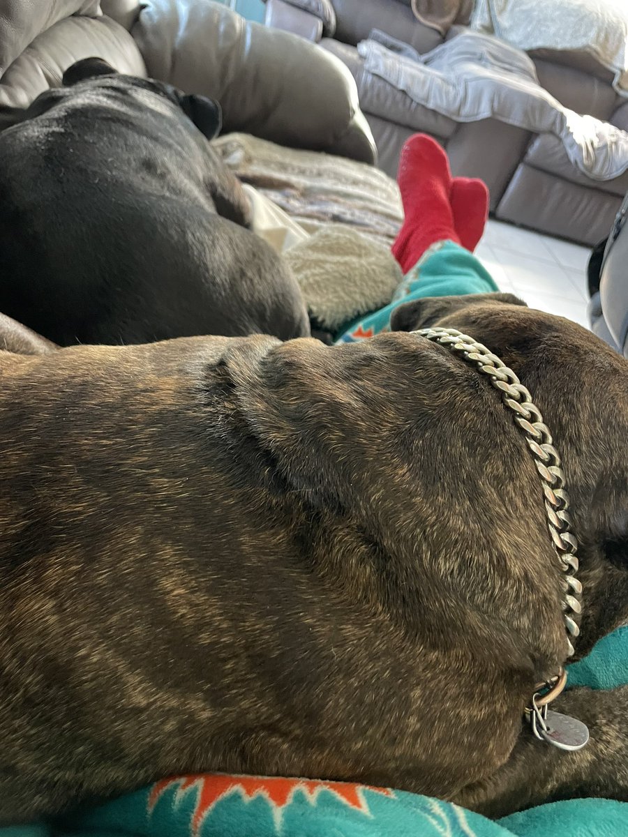 Back home from walk in clinic. I have a flu and an ear infection. Strange cuz I’ve had no ear pain though I have felt very dizzy. TamiFlu, antibiotics and rest and I’ll be good in a few days. Capt and pups taking very good care of me. Rip & Sab are way ahead resting.