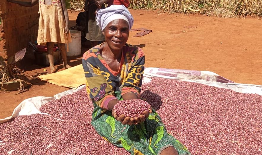 🌱🌿 Meet Chanda Yamba, a resilient farmer from Zambia, who harvested 72 kgs of #Mbereshi beans amid El Niño challenges. These nutrient-rich beans support late planting. Promoted under #AIDI by ##Kamanoseed & @USAIDZambia. #ClimateSmart Learn more 👉 bit.ly/4acDxHG