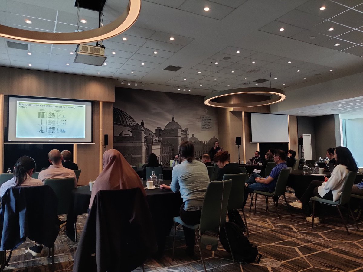 Giulia Boezio tweet media