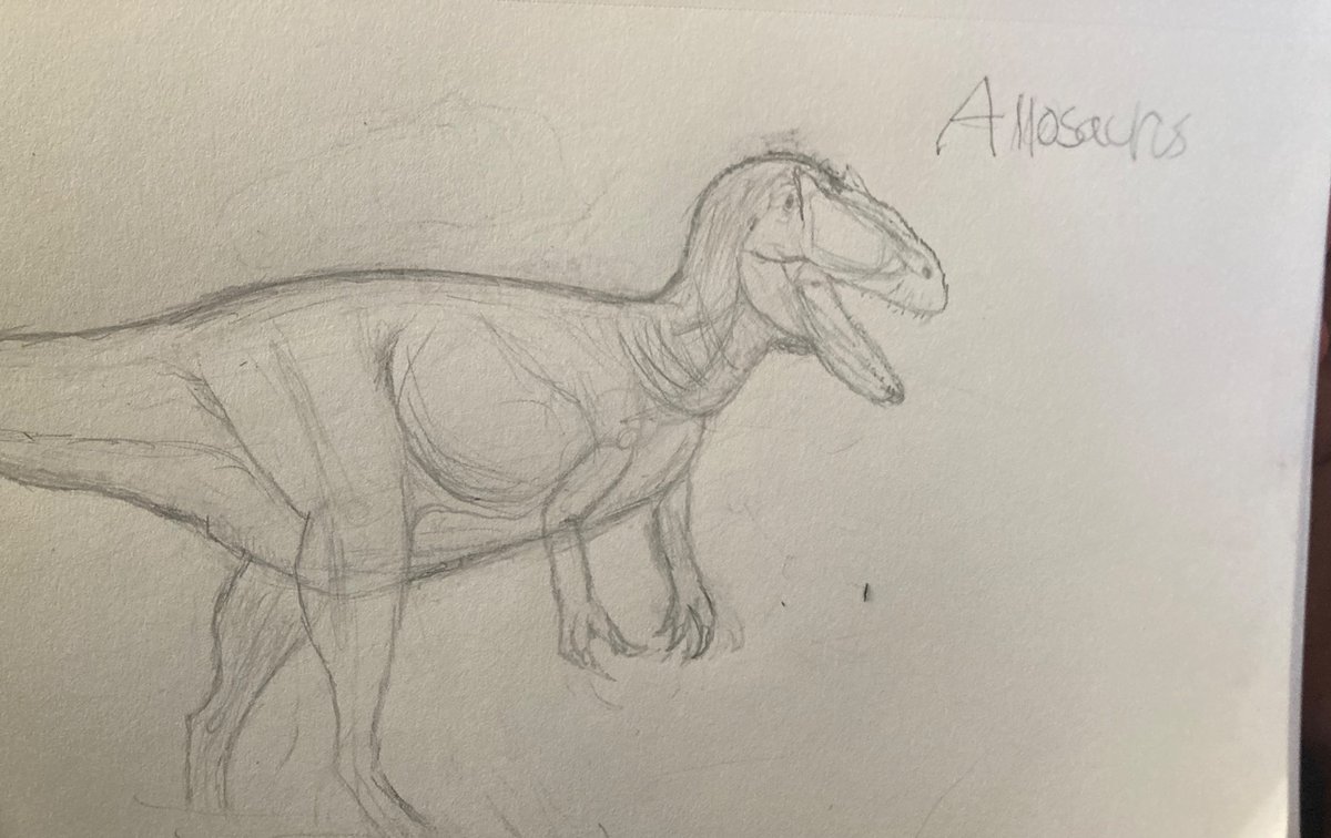 less bad Allosaurus sketch...

#paleoart