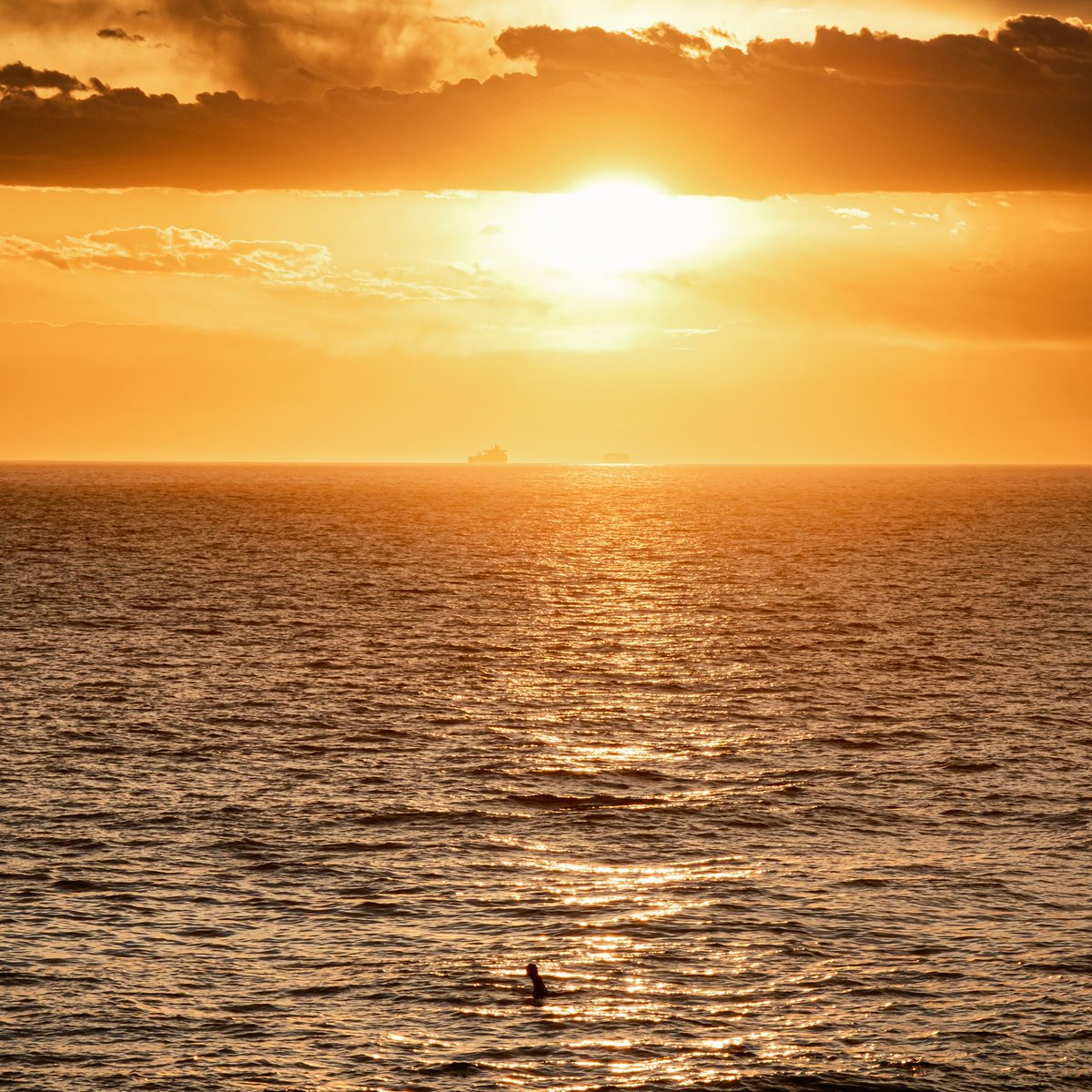Sunset Surfer

#photo #photographer #photography #landscapephotography #nature #naturephotography #travelphotography #picoftheday #photooftheday #sunset #sunsetphotography #ocean #surfphotography