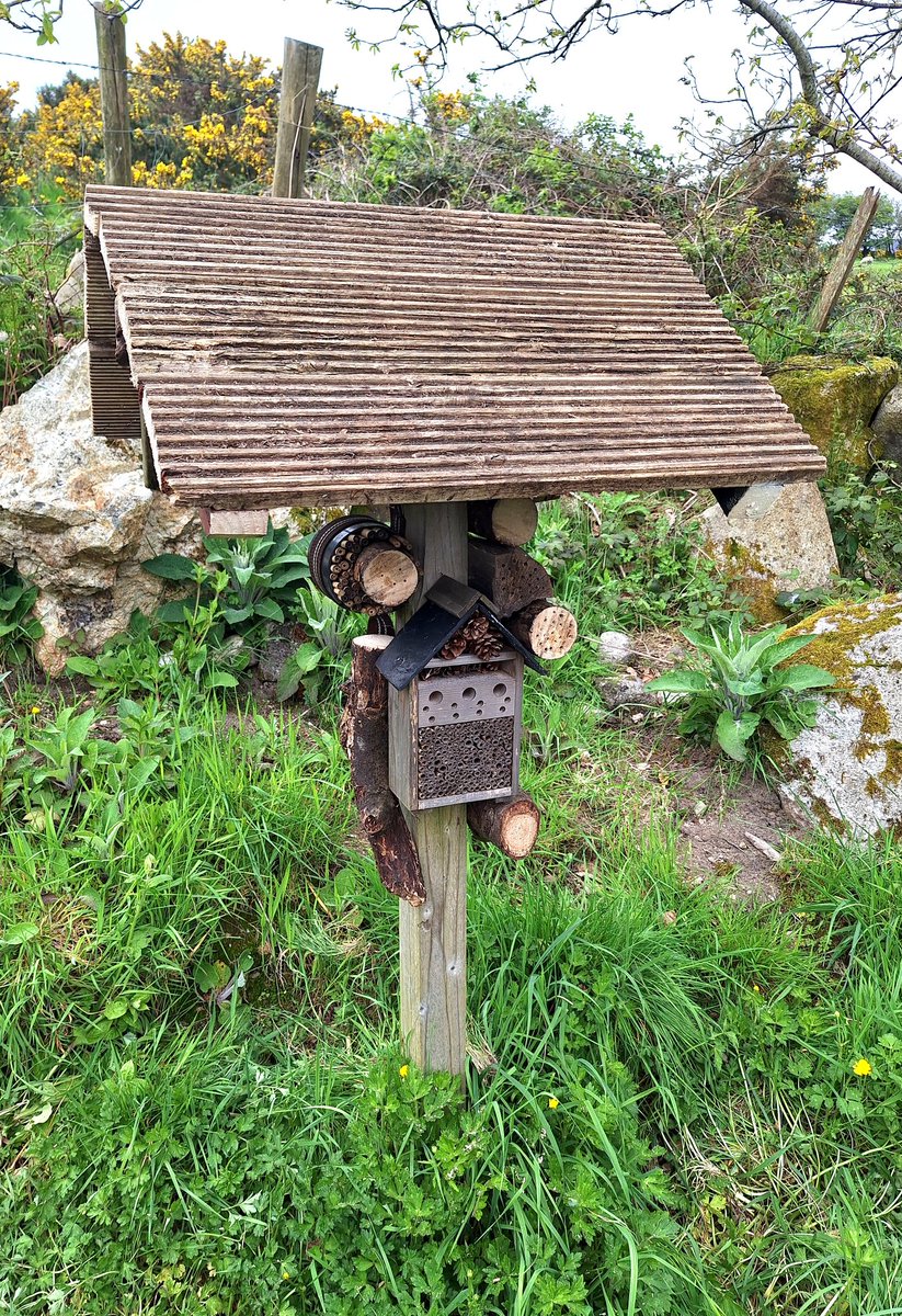 Upgrade on the bee hotel today. Was very successful last summer, so I've added lots more homes plus a roof to keep the summer rain off our nesting buzzers. 🐝❤️
