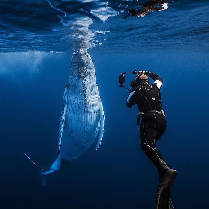 If you could use one word to describe this moment, what you would say? 🙌
-

-
#scubadivingislife #lovediving #scubaworld #scubagram #uwlife #scubashooters #divingday #divingdeep