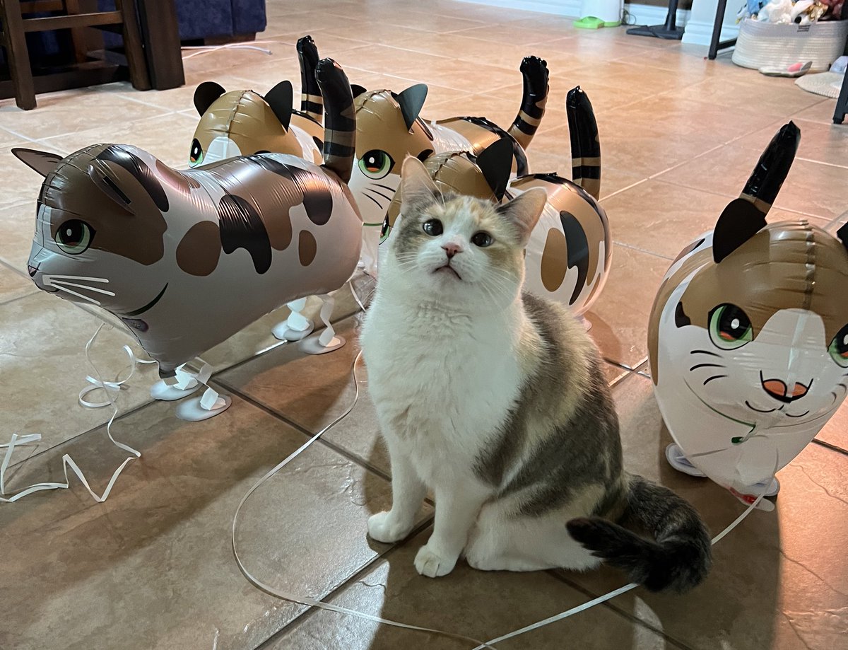 So I got some balloons that kind of look like Panko