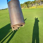 Photo by Ben Catlett (@GulfShoreTurf)