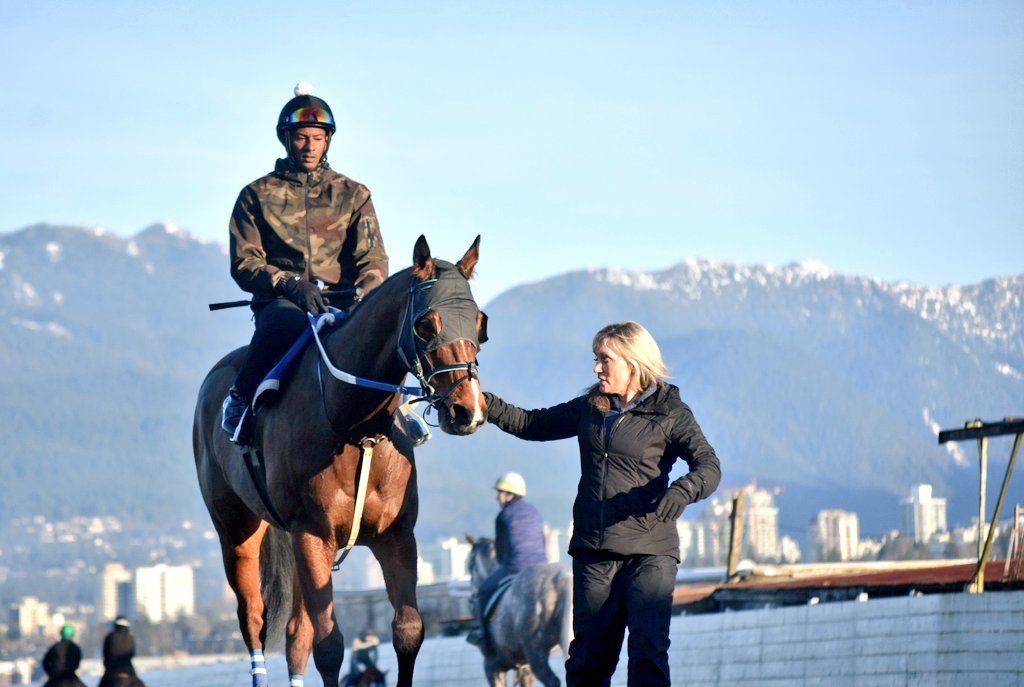 🚨 ENTRY ALERT 🚨

The <a href="/HSTRacingClub/">Hastings Racing Club</a> will be back in action on Saturday in the 5:30pm nightcap at <a href="/hastingsraces/">Hastings Racecourse</a> with FINDING WAYS making his first start in Club blue and white!

First post is at 2:30pm and as always, admission is free!