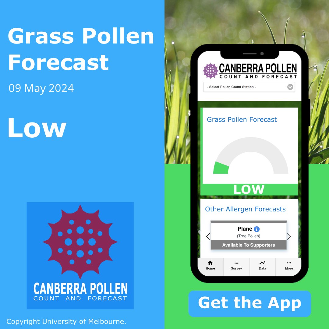#Canberra grass #pollen forecast for today (Thursday, May 9) is Low. Get the App for more pollen forecasts: bit.ly/canberrapollen