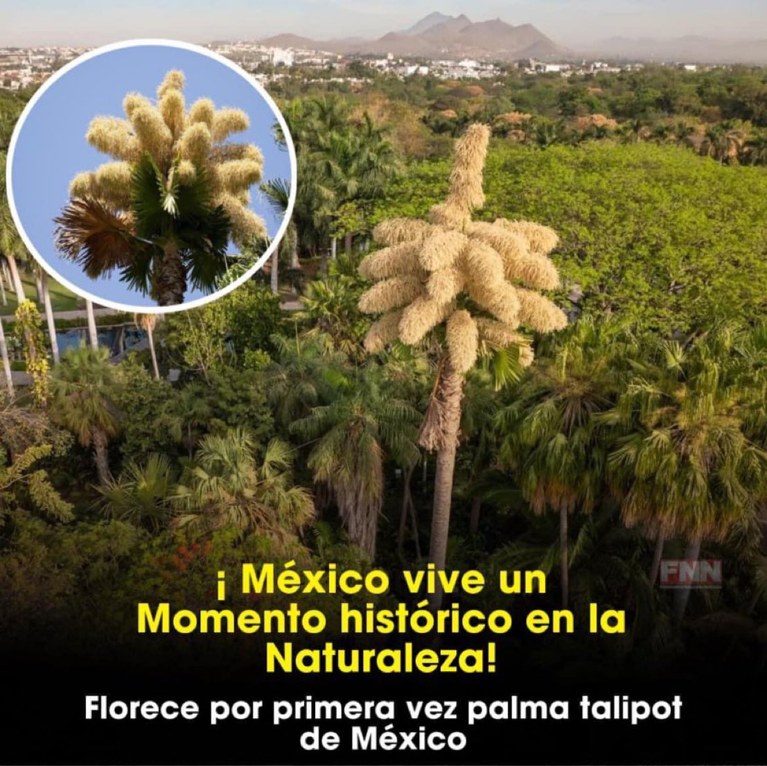 InformaCosmos tweet picture