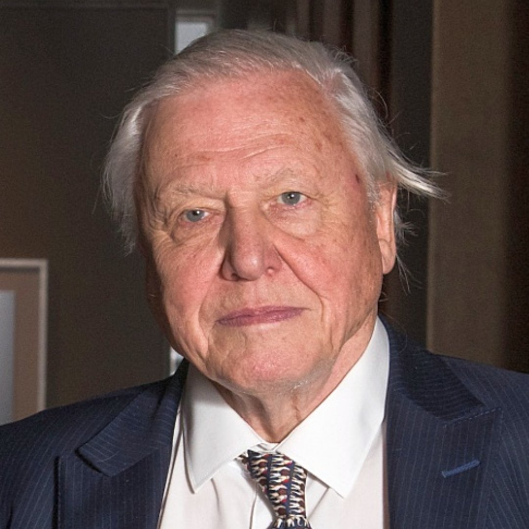 Happy 98th Birthday Sir David Attenborough, You are the best Natural Historian ever. #DavidAttenborough #birthday #History #TheBluePlanet #PrehistoricPlanet
